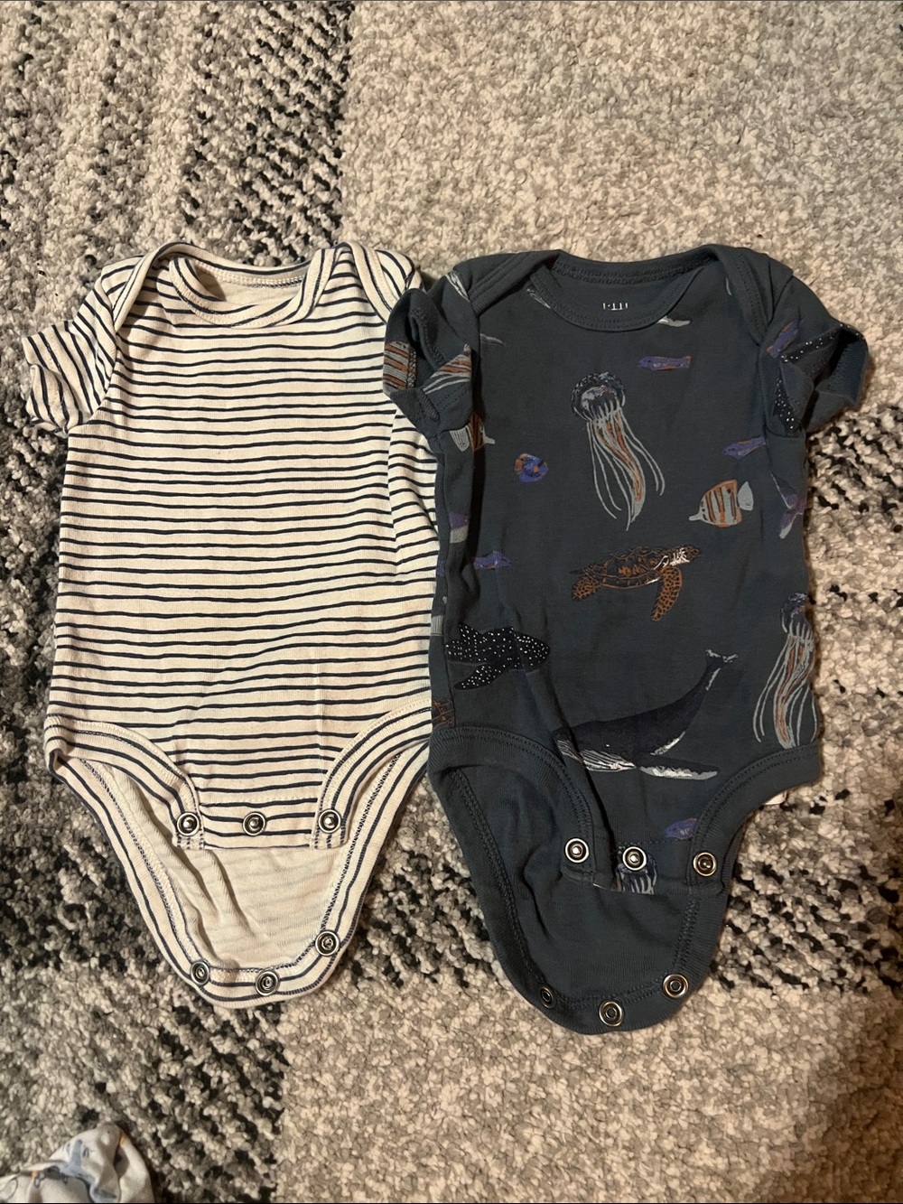 Little Planet Organic bundle of baby short sleeve bodysuits